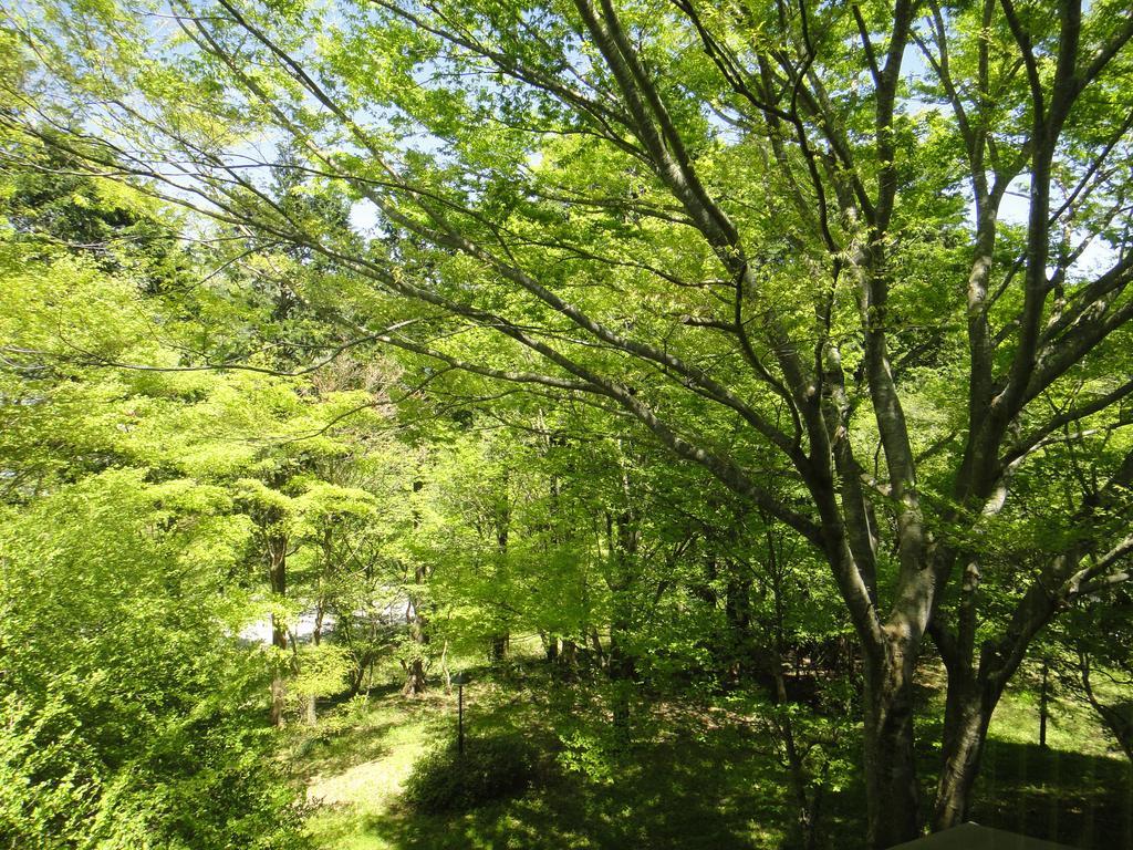 Top Resort Hakone Onsen Goku No Yado Buitenkant foto